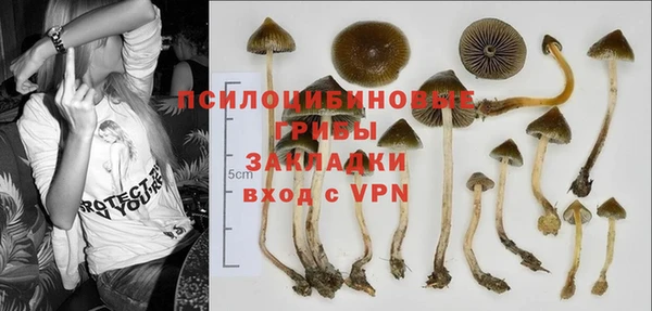 соль курить ск Горняк