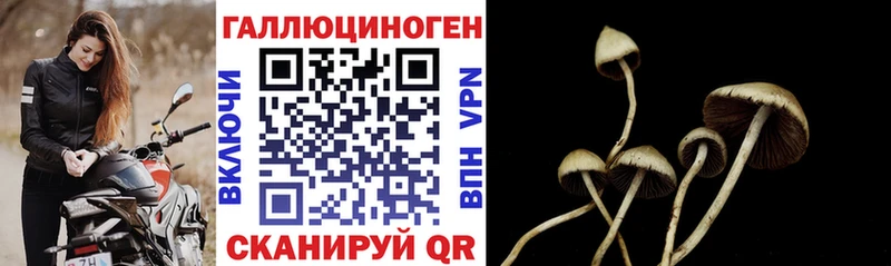 Галлюциногенные грибы мухоморы  Давлеканово 